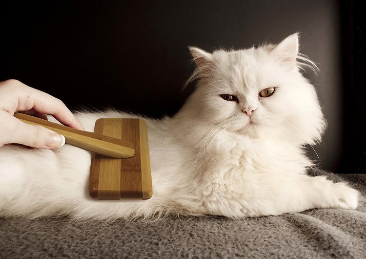 Вычесывание колтунов у кошек