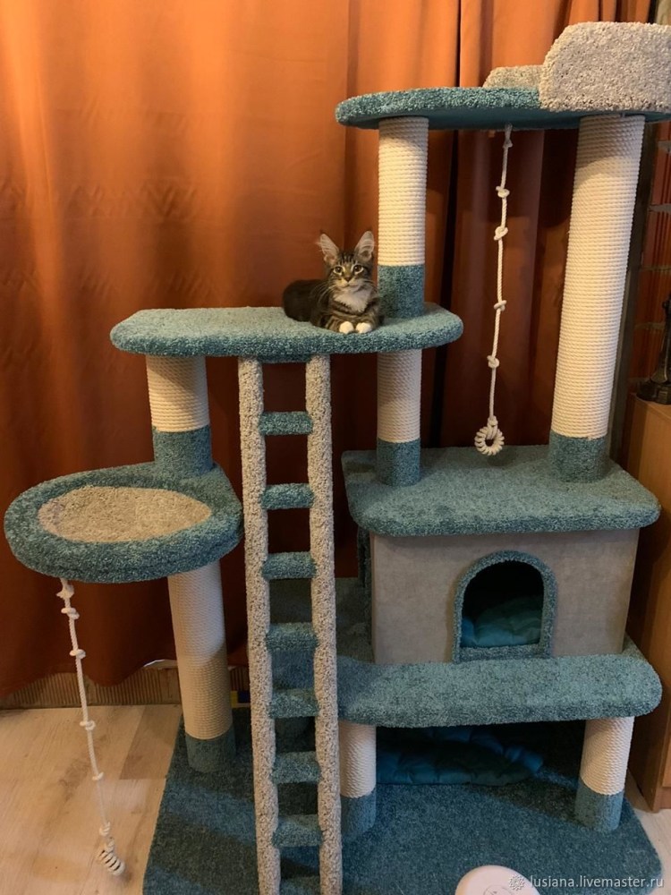 Когтеточка с домиком для Мейн куна