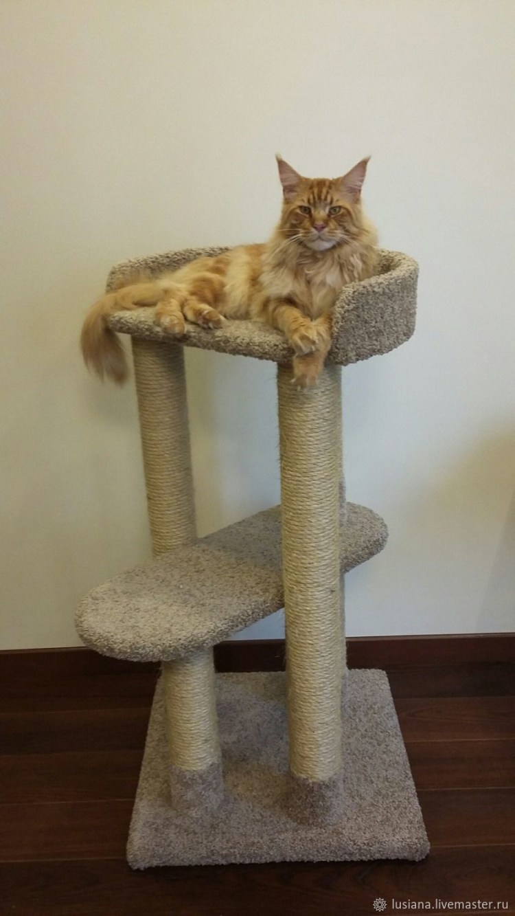 Настенный домик для кошки