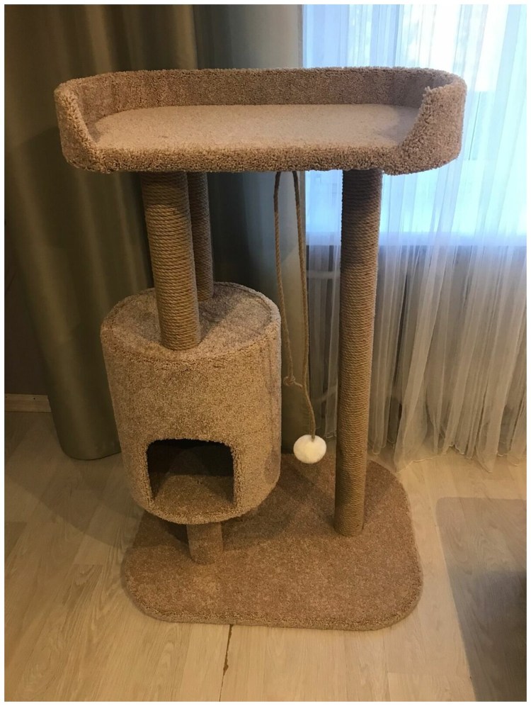 Домик для котов Мейн кун