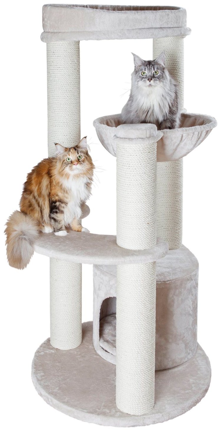 Когтеточка с домиком для Мейн куна