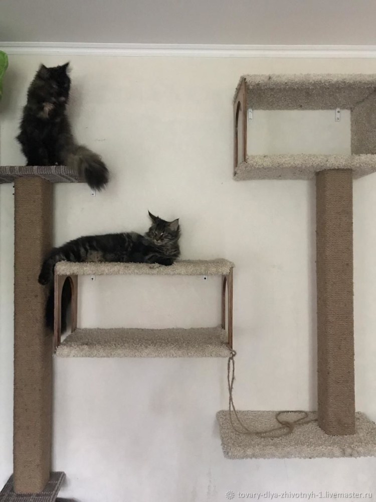 Навесной домик для кошки