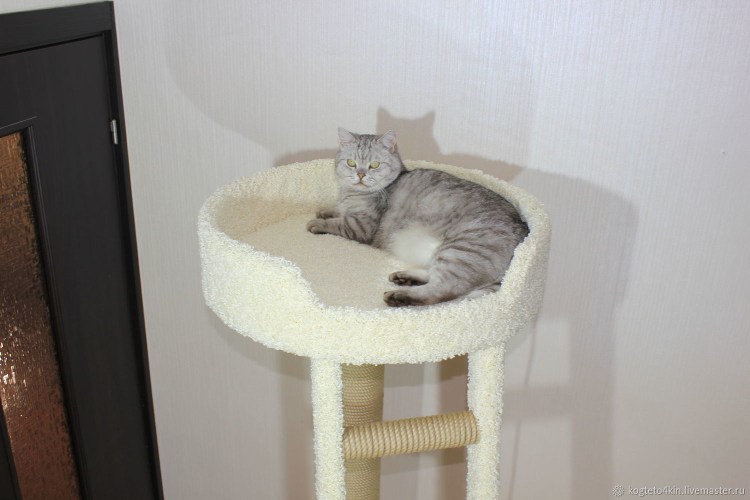 Домик когтеточка h100*70*45см, домик d46см д/Мейн кунов кун-31-д кисмит