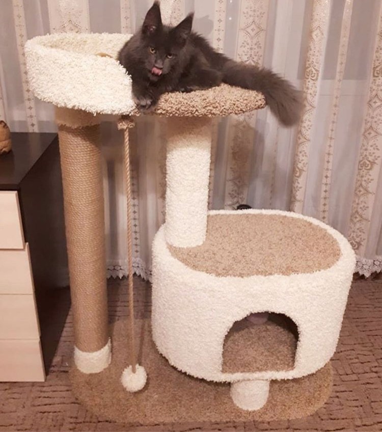 Когтеточка КЛК 105