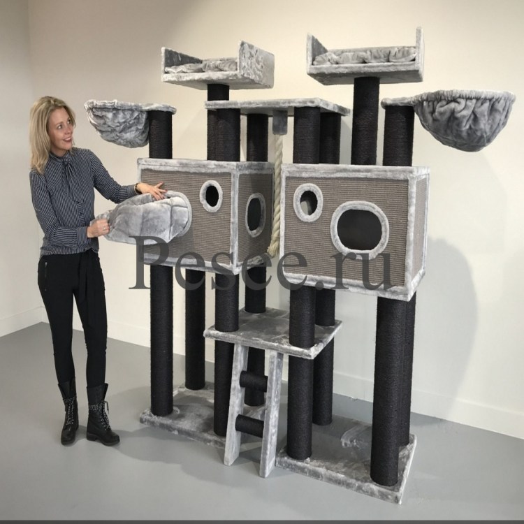 Игровые комплексы для кошек Мейн кунов