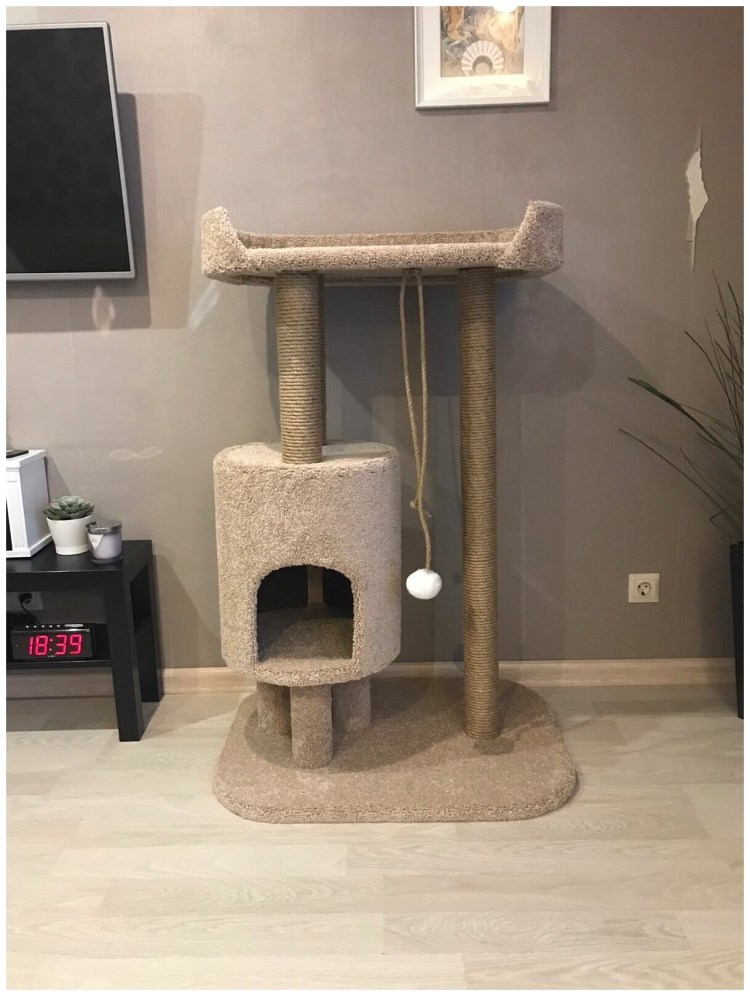 Домик для Мейн-куна: сделать своими руками или выбрать готовый