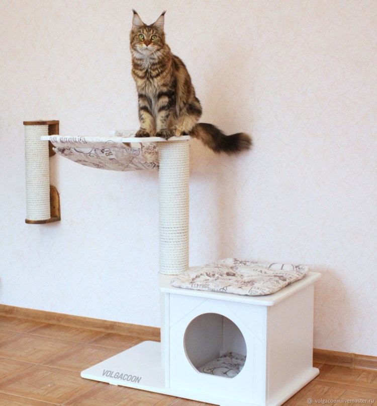 Кошкин дом для Мейн куна