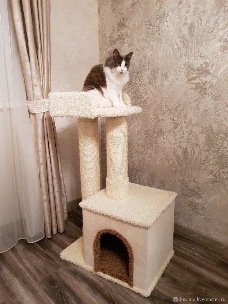 Дралка для Мейн куна