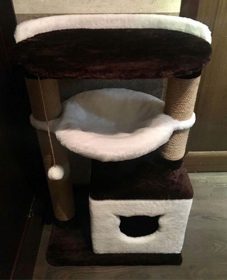 979 Теремок когтеточка