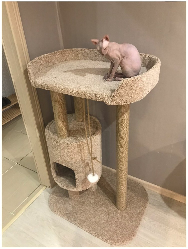 Игровые комплексы для кошек Мейн кунов