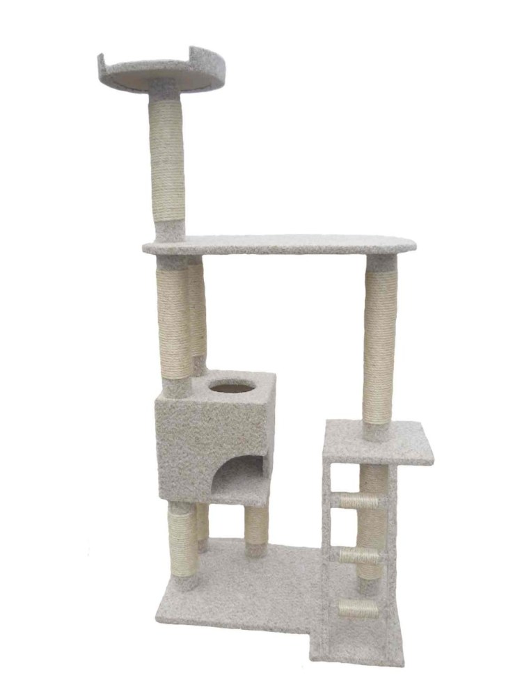 Комплекс для Мейн кунов кунодом