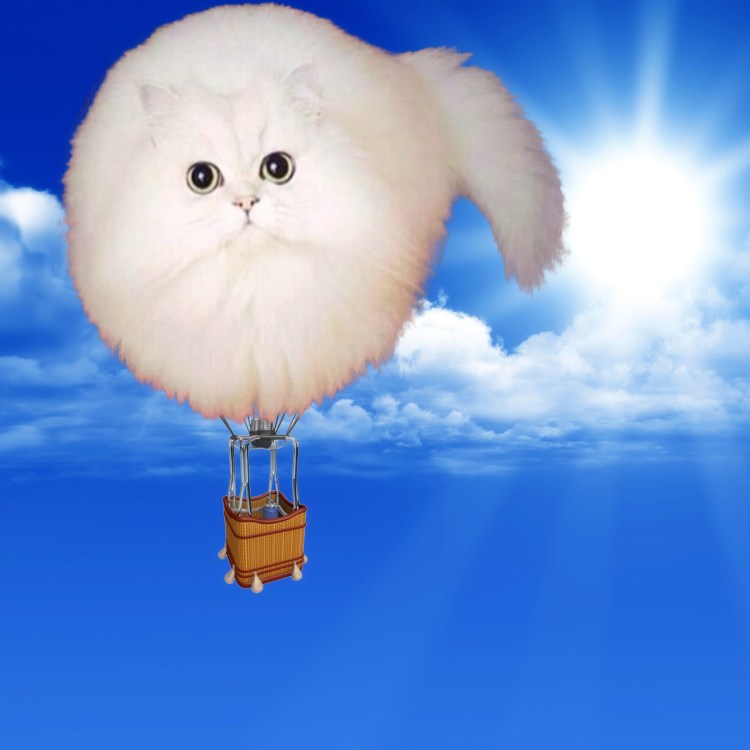 Мягкая игрушка кошка подушка dl204205002br