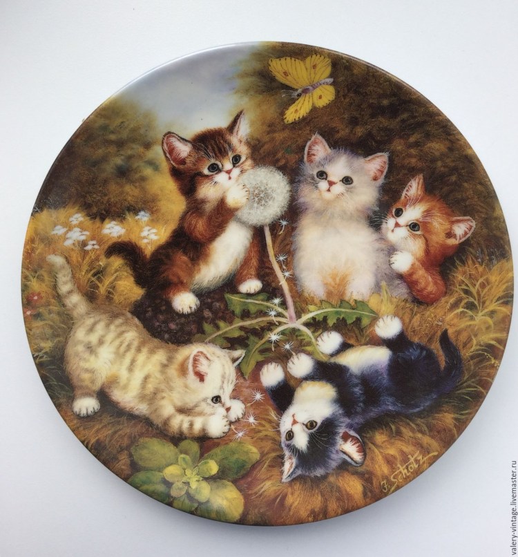 Хосико кот порода