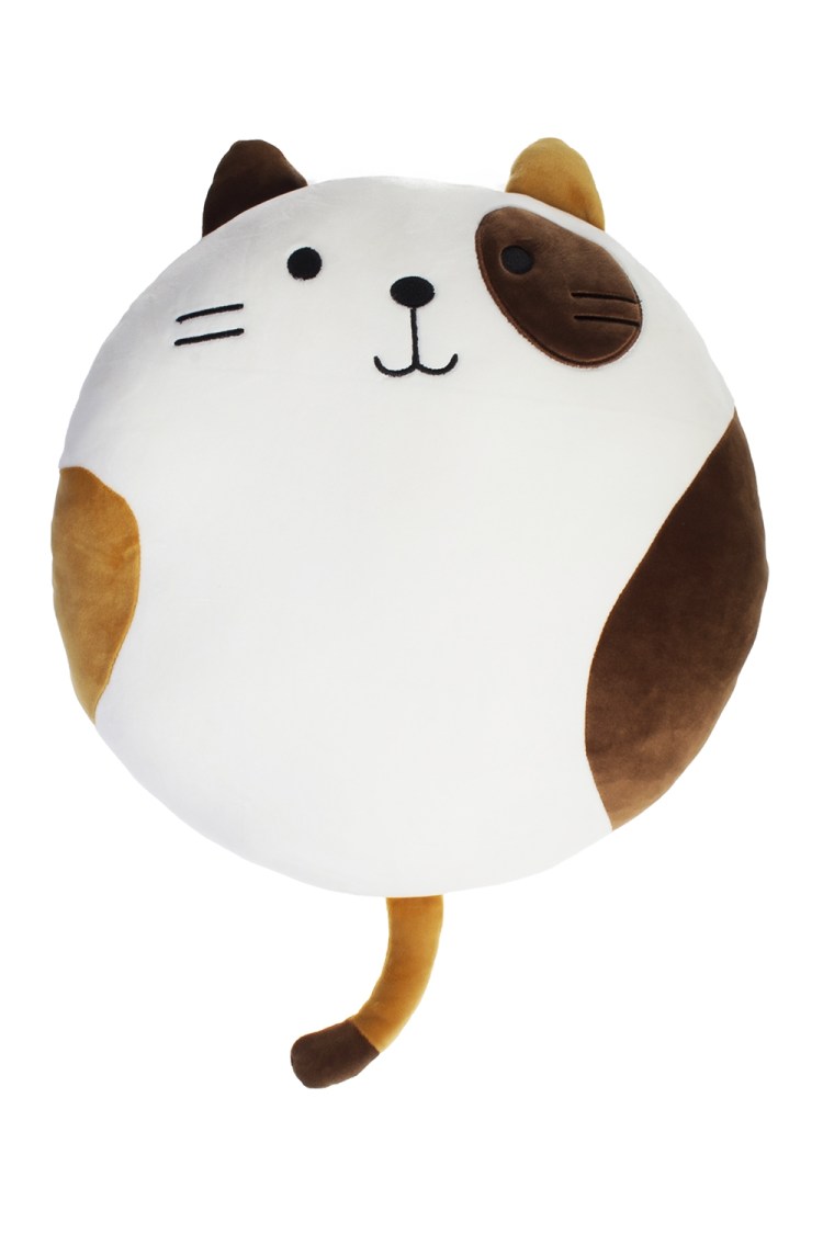 Хосико котенок