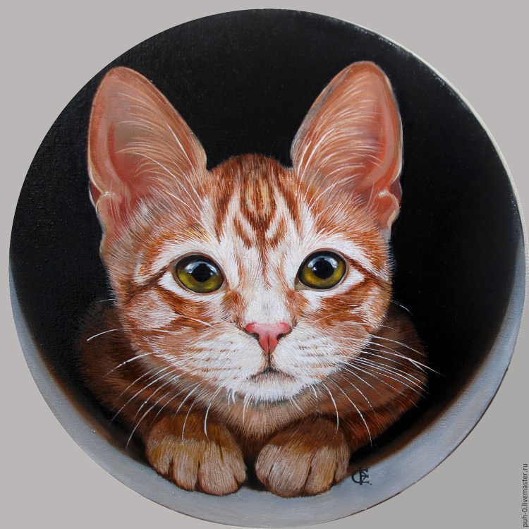 Игрушка подушка кот круглый