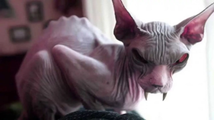 Накрашенный сфинкс