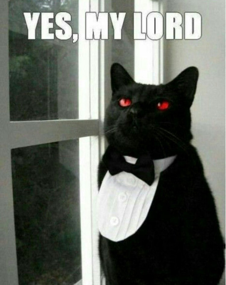 Кот Мафиозник