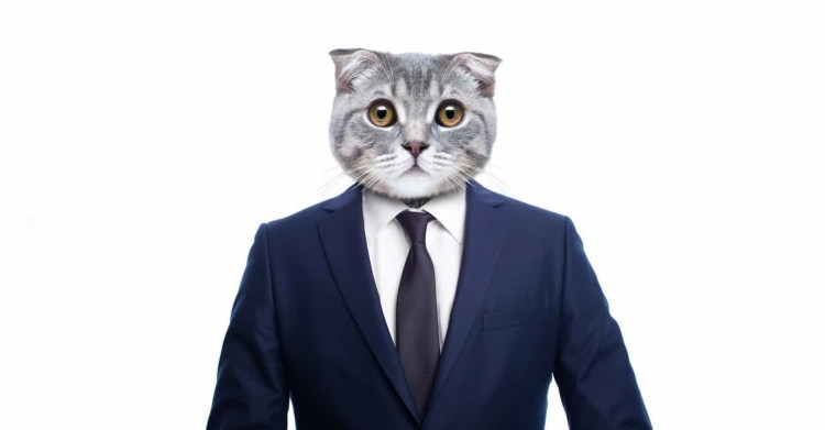 Никас Сафронов картины коты