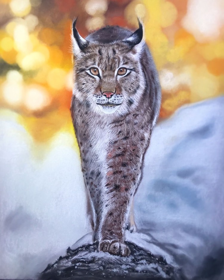 Рысь отьебис