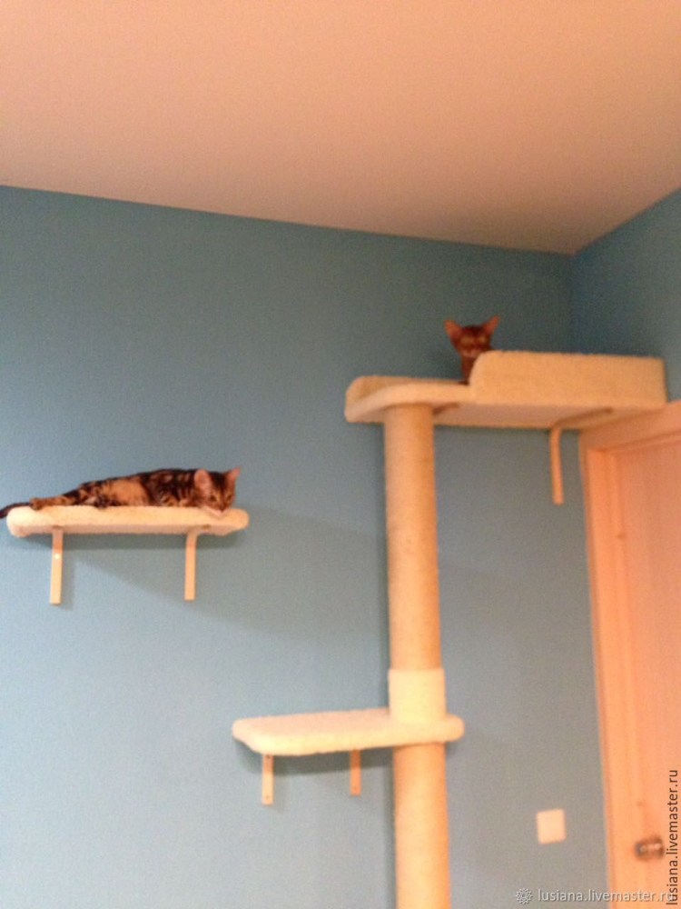 Кошачий домик лазалка