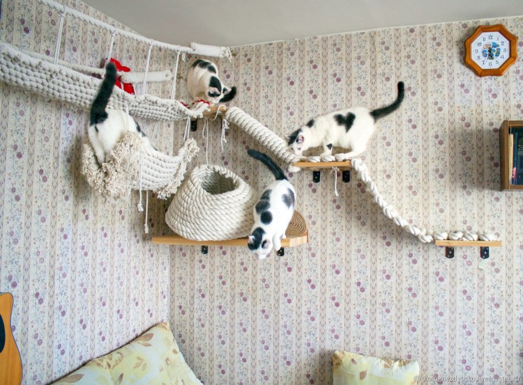 Гамак для кошек Trixie Radiator cuddly Cave 38х34х38 см