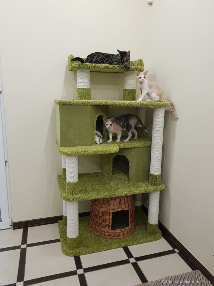 ВИМБЕСК комплексы для=для кошек