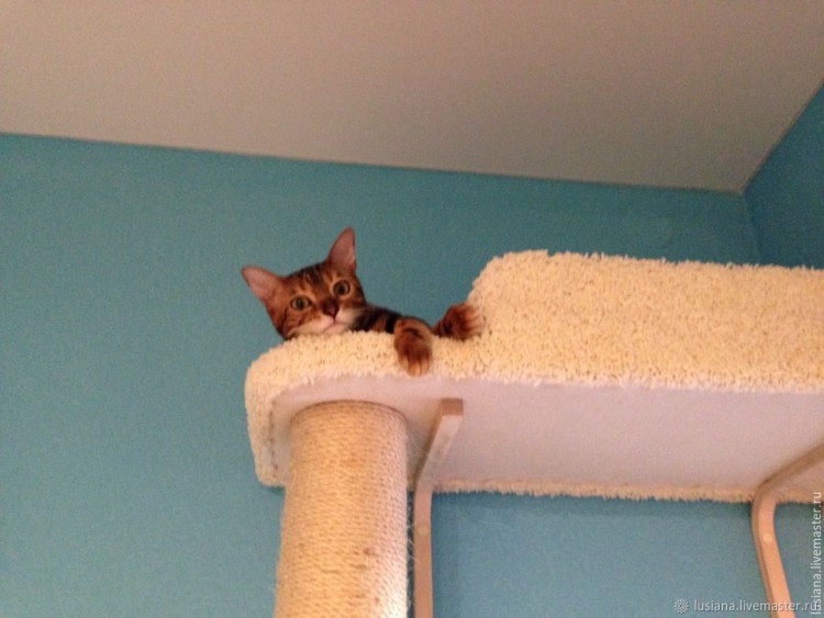 Пушок комплекс "пыжик"