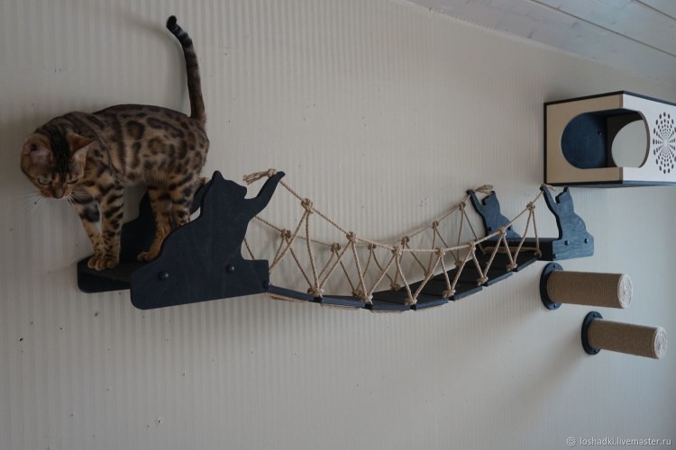 Когтеточка Эверест