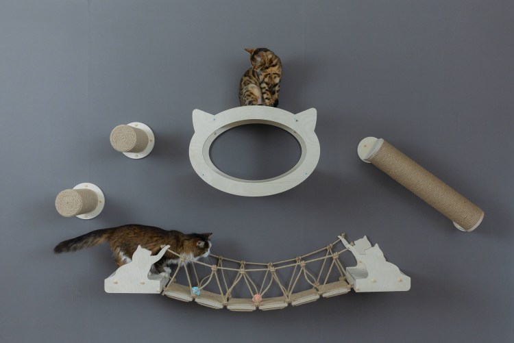 Лазалки для кошек