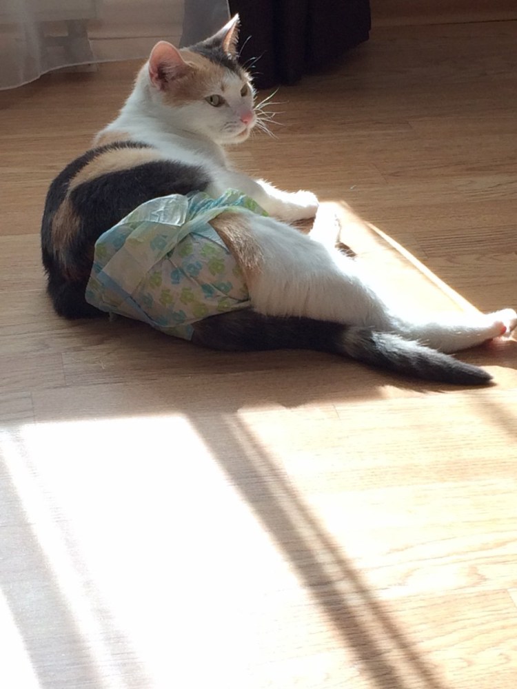 Сумка для памперсов