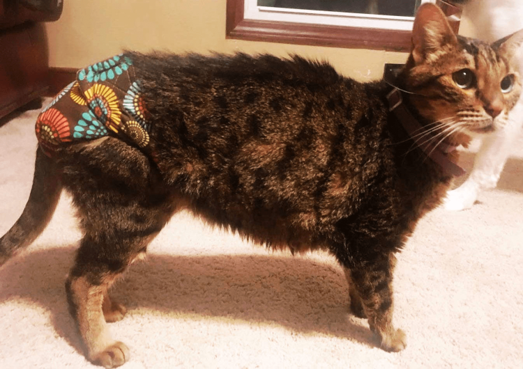 Gloryes! Подгузники Optima New (3-18 кг) 1 шт.