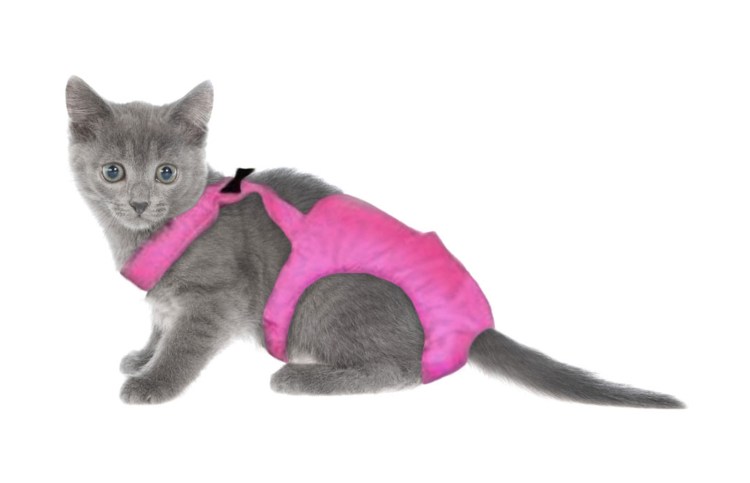 Подгузники для кошек