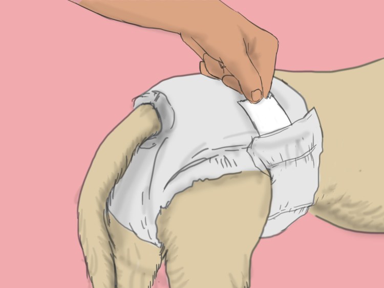 Животные в памперсе