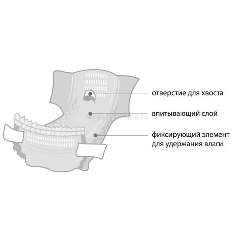 Подгузники для кошек 4 лапы