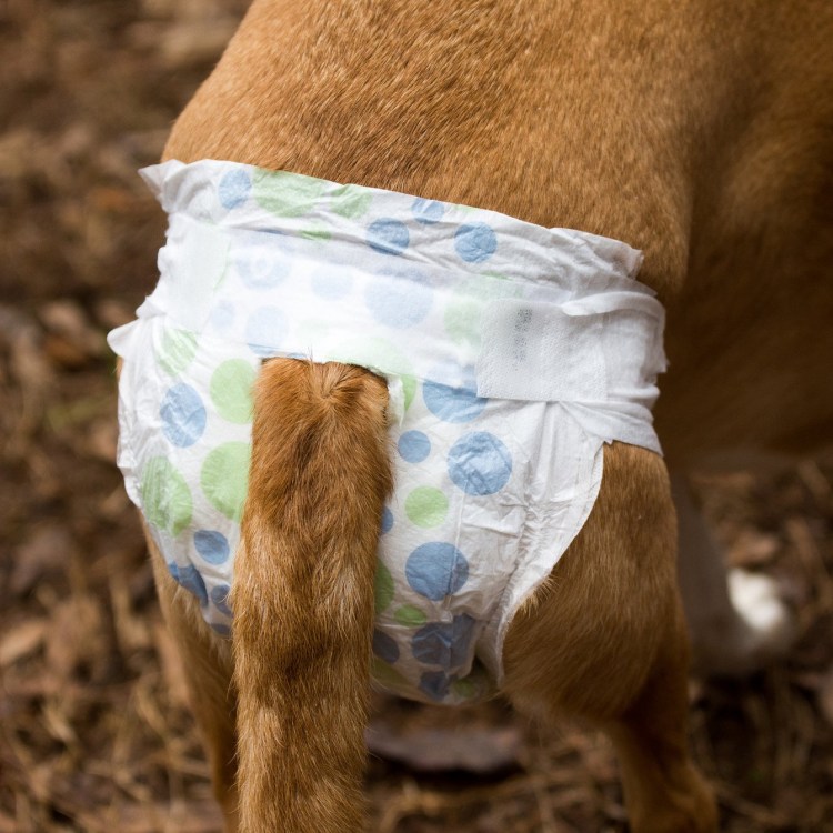 Какие памперсы используют космонавты