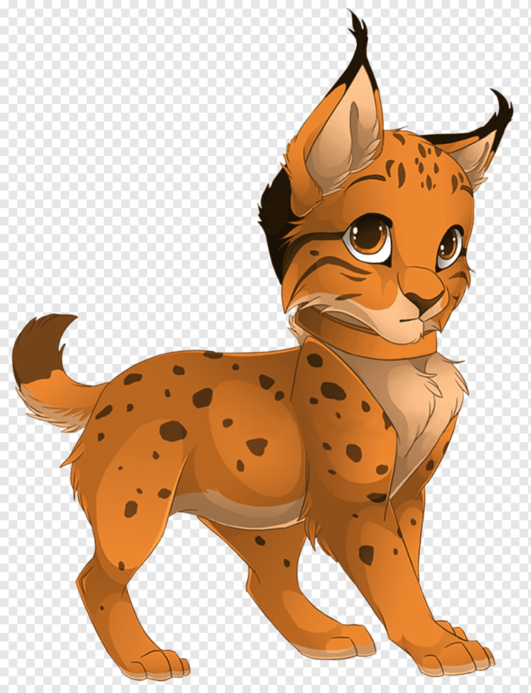 Тайгер Линкс