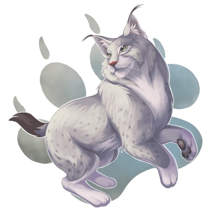 Рысенок на прозрачном фоне