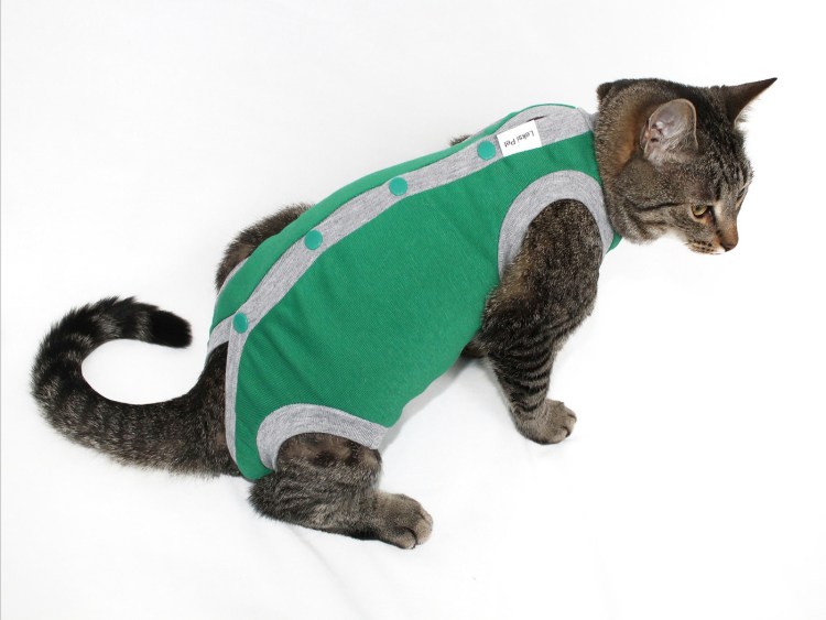 Попона для кошки