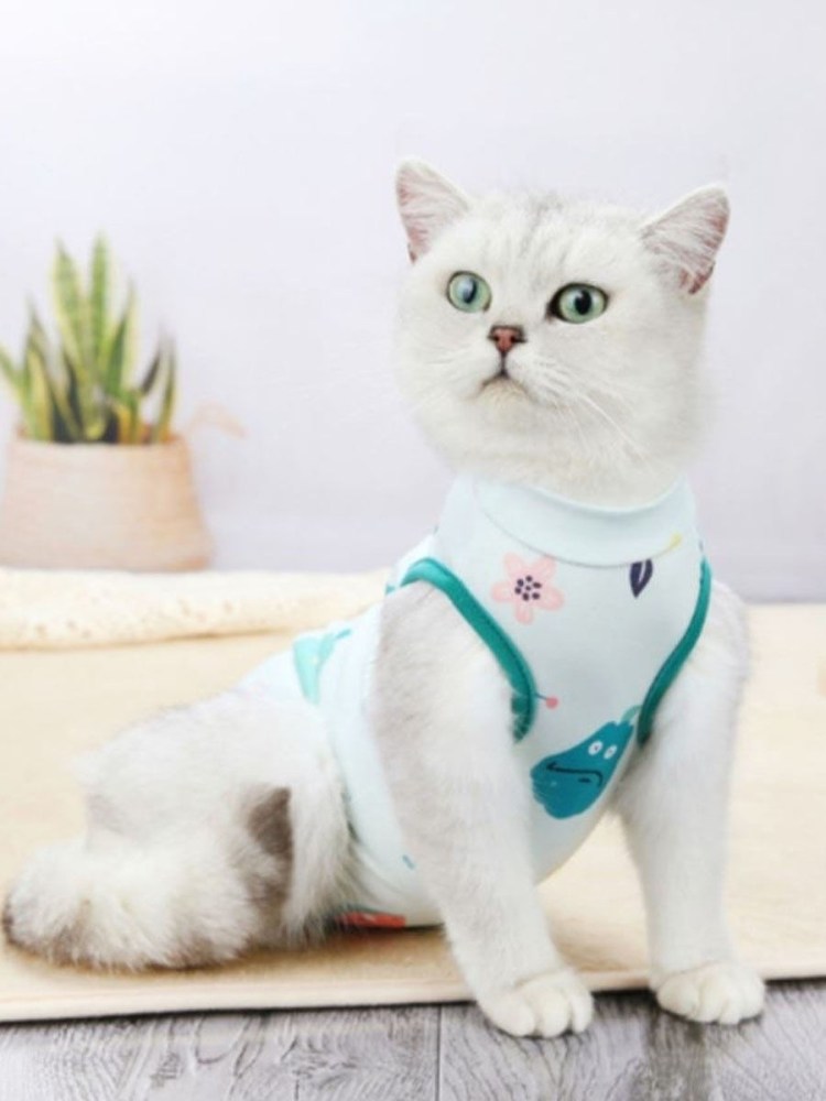 Попона послеоперационная, для собак, №6, Талисмед