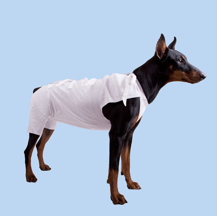 Попона "Бостон", Dogmoda