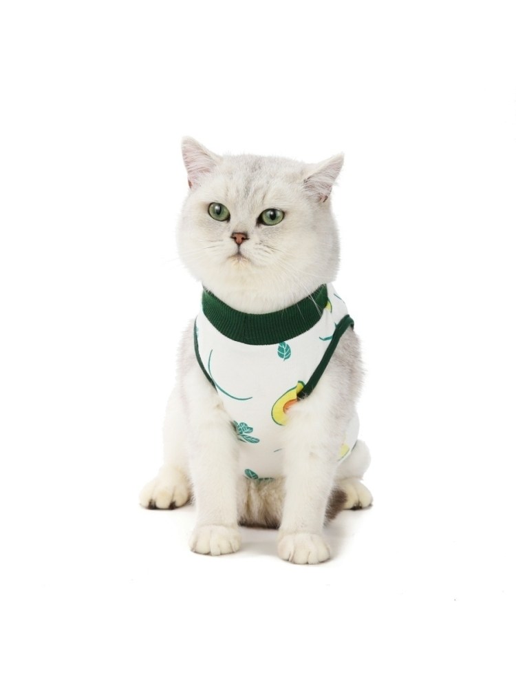 Помпона для кошек