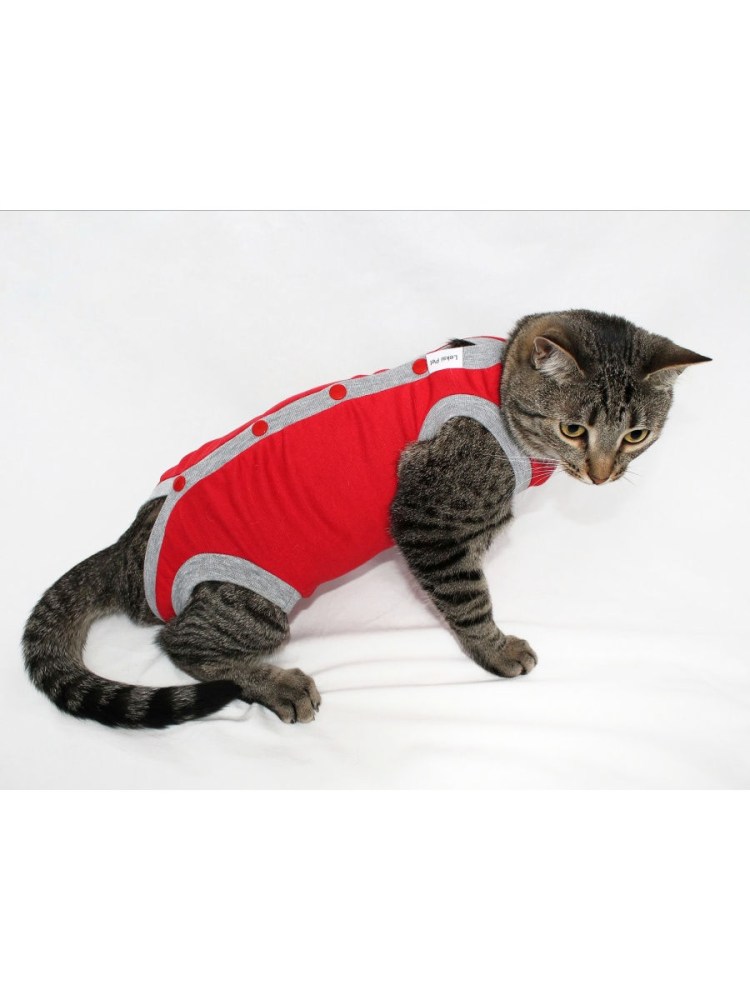 Послеоперационная попона д/кошек №1