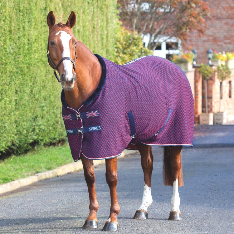 Попона для кошки после стерилизации