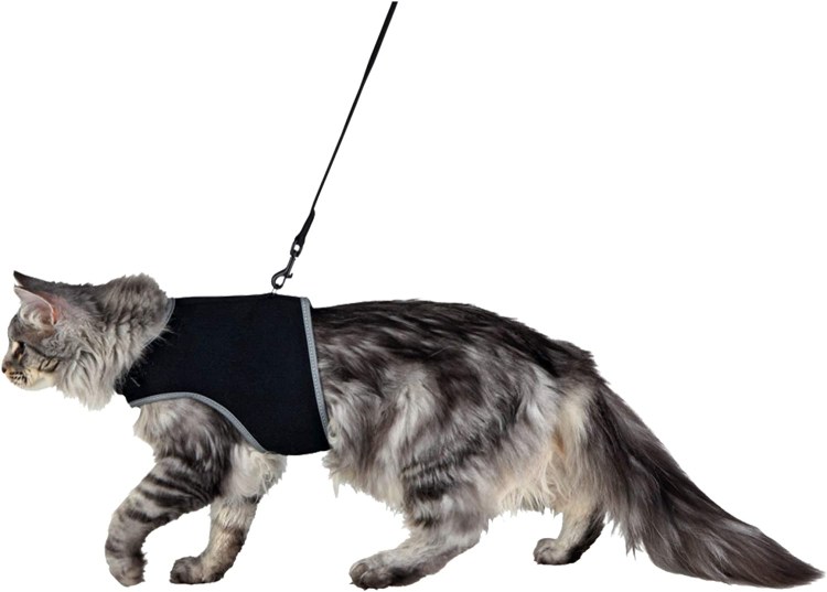 Попона послеоперационная для собак №7