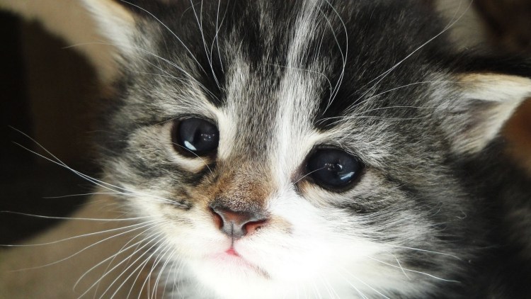 Грустный от