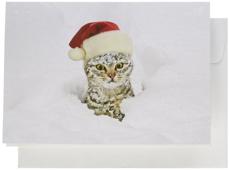 Новогодний кот в снегу