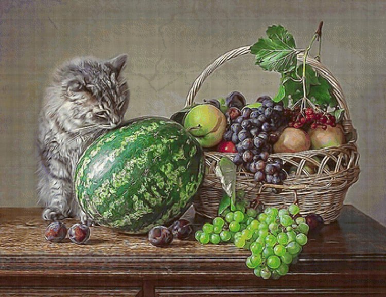 Коты и арбузы