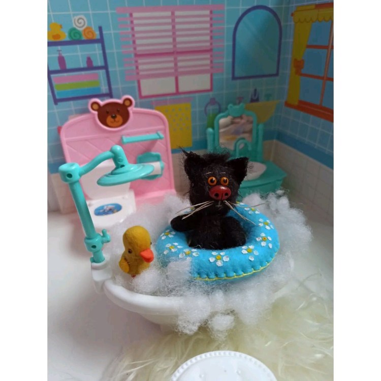 Британская короткошёрстная кошка