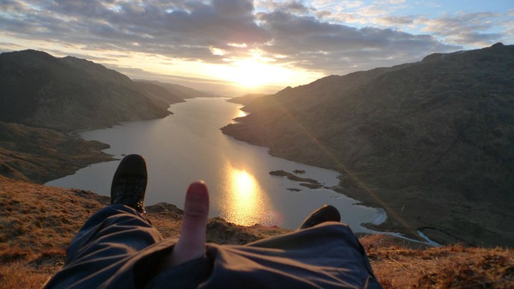 Два кота на фоне заката