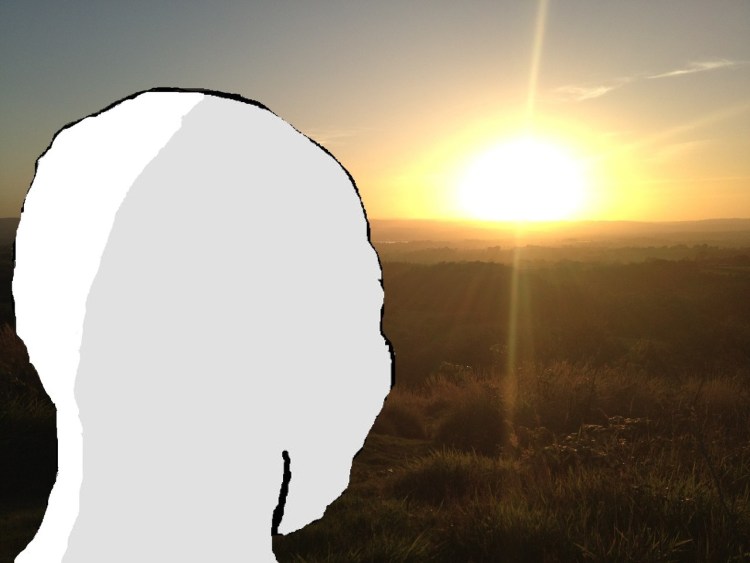 Кошки случайно попавшие в Кадр